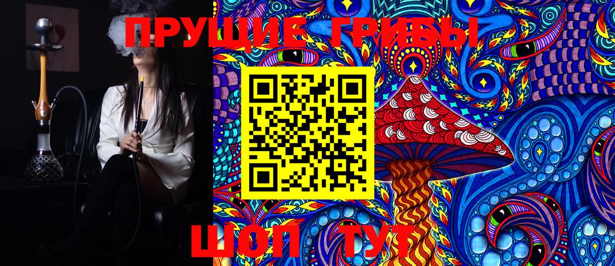 Галлюциногенные грибы Cubensis Валуйки