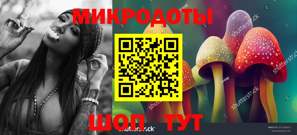 Галлюциногенные грибы мухоморы  как найти   Валуйки  Вход с VPN 